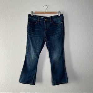 Pilcro and the Letterpress Stet blue jeans size 30 petite